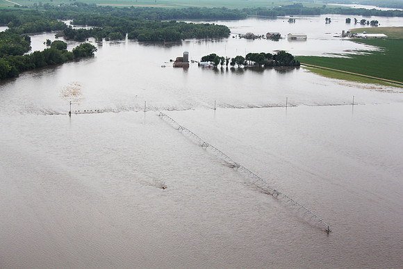 No Need for Irrigation
