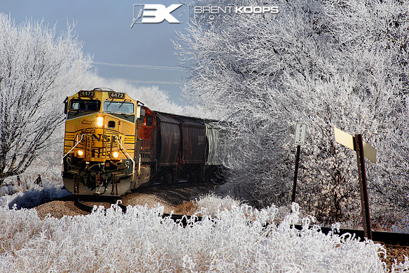Frosty Train